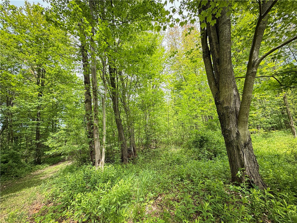 Gifford Road Hannibal, NY 13074 - Photo 17 of 50