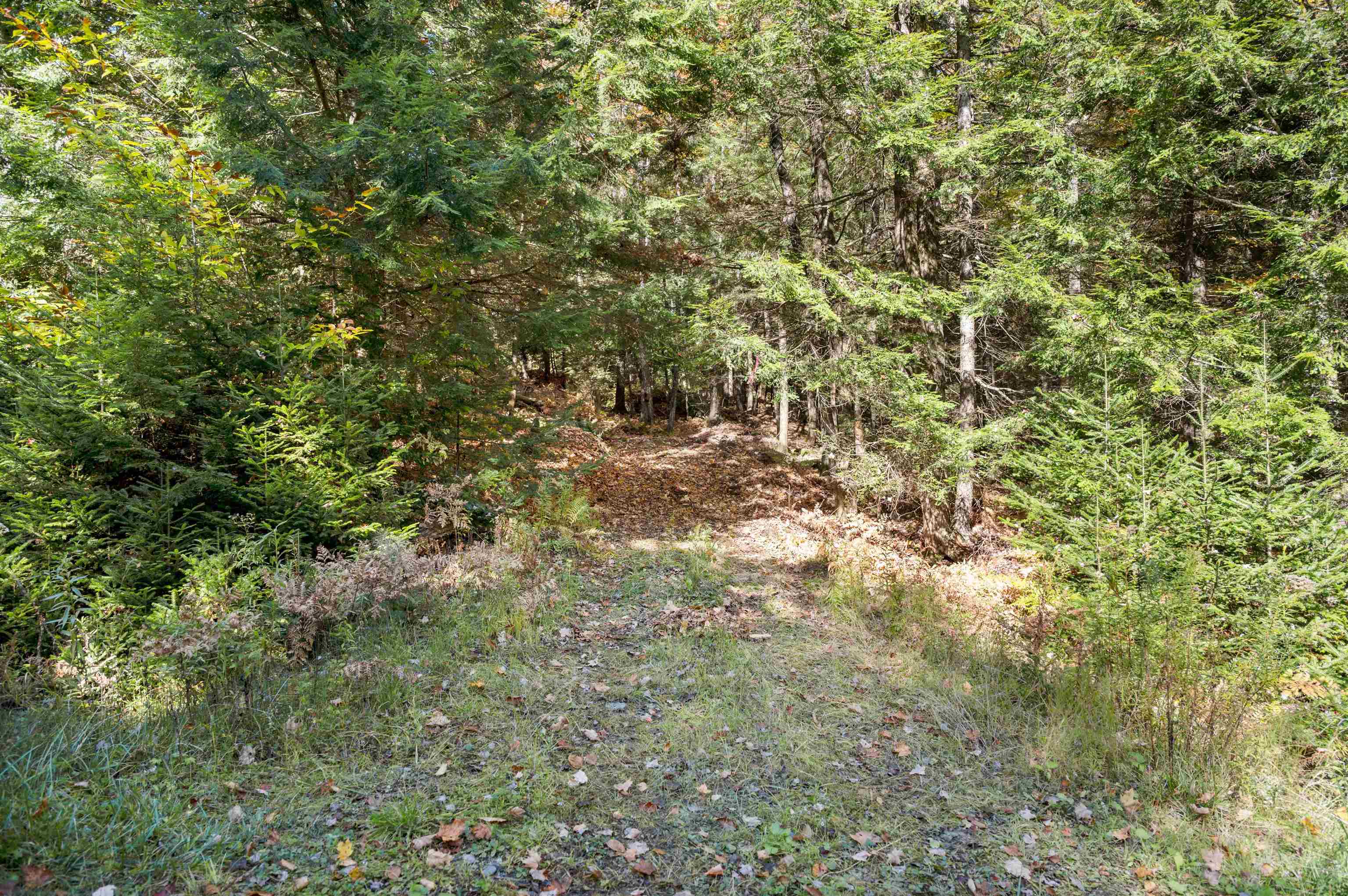 442 Vt Rte 12, Unit 3 Barre, VT 05641 - Photo 2 of 18