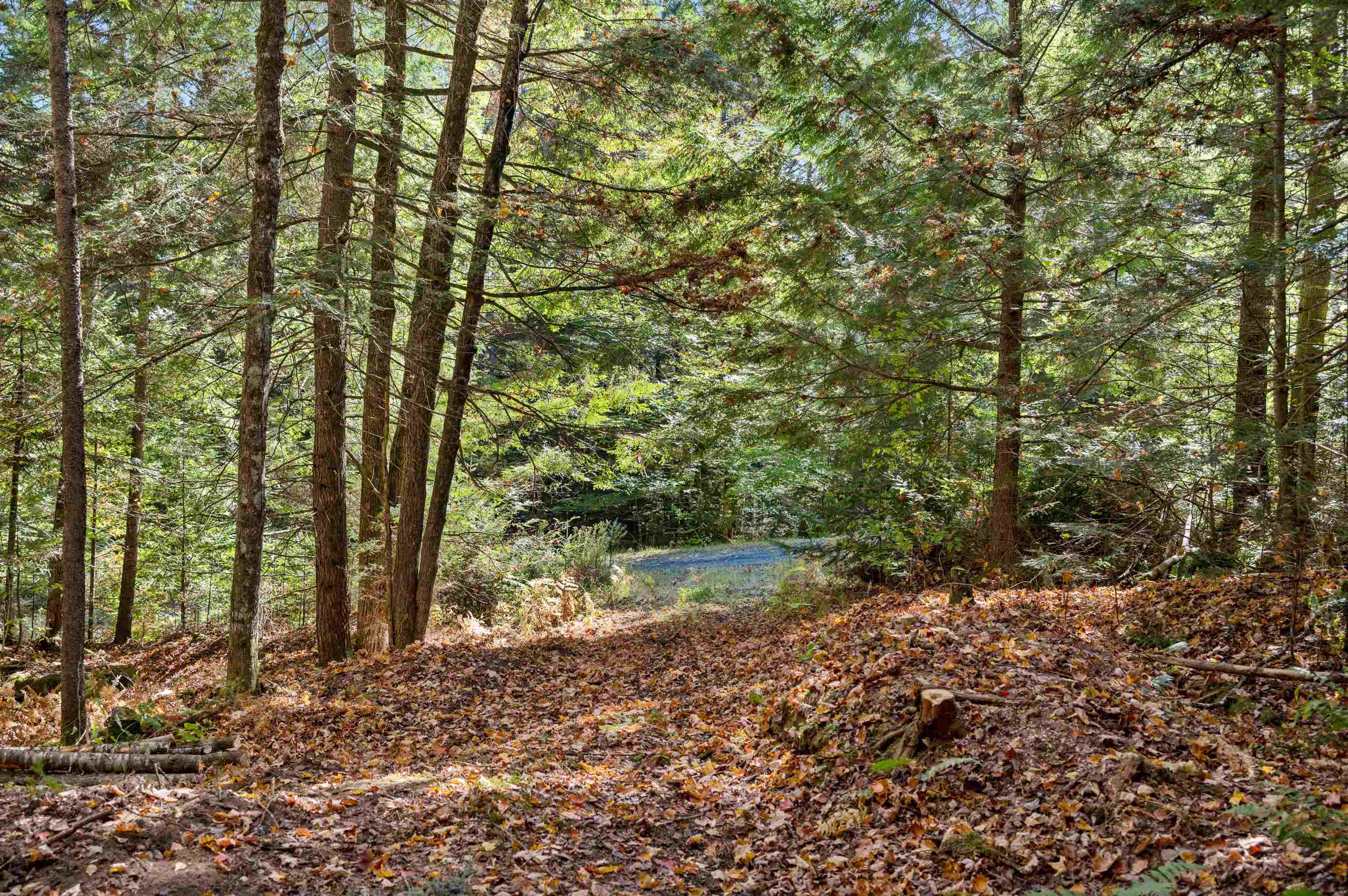 442 Vt Rte 12, Unit 3 Barre, VT 05641 - Photo 3 of 18