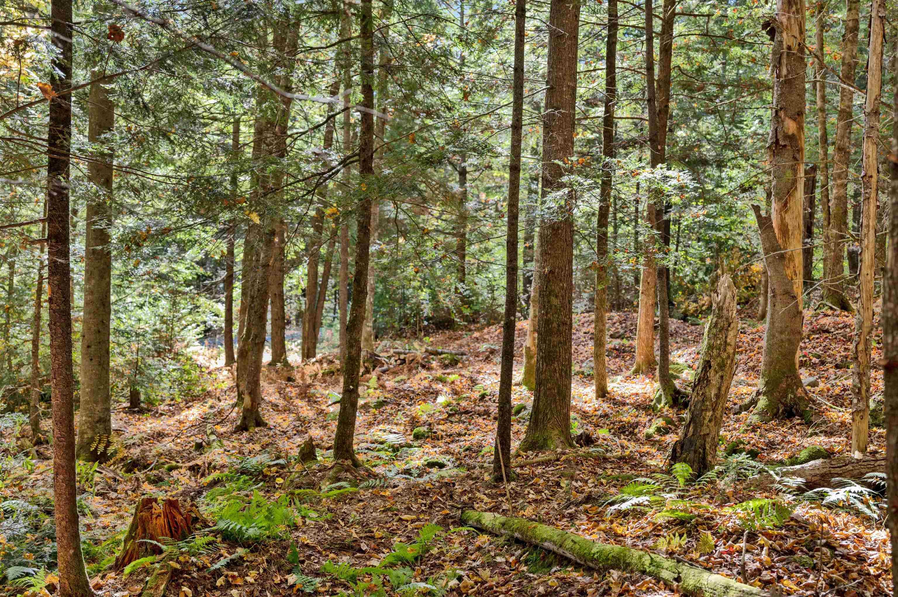 442 Vt Rte 12, Unit 3 Barre, VT 05641 - Photo 4 of 18