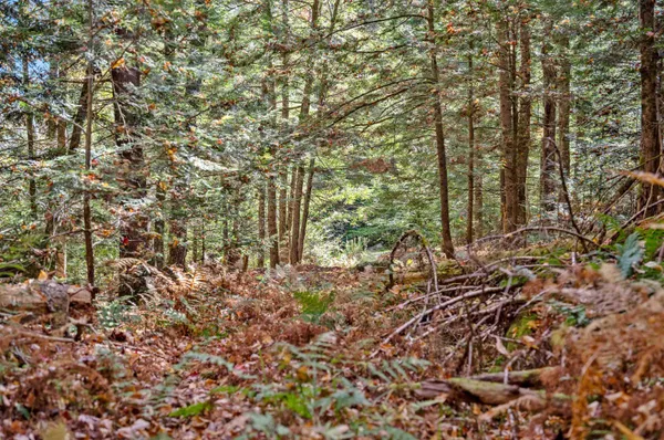 $149,500 | 442 Vt Rte 12, Unit 3, Barre, VT 05641