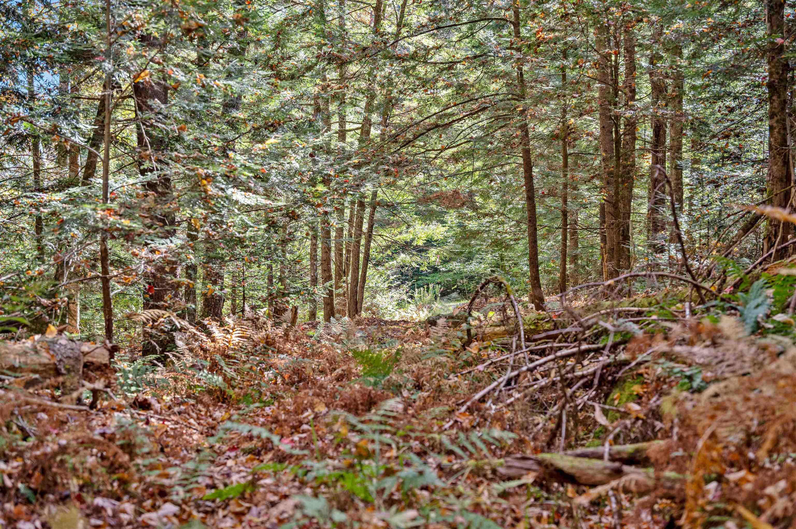 442 Vt Rte 12, Unit 3 Barre, VT 05641 - Photo 5 of 18