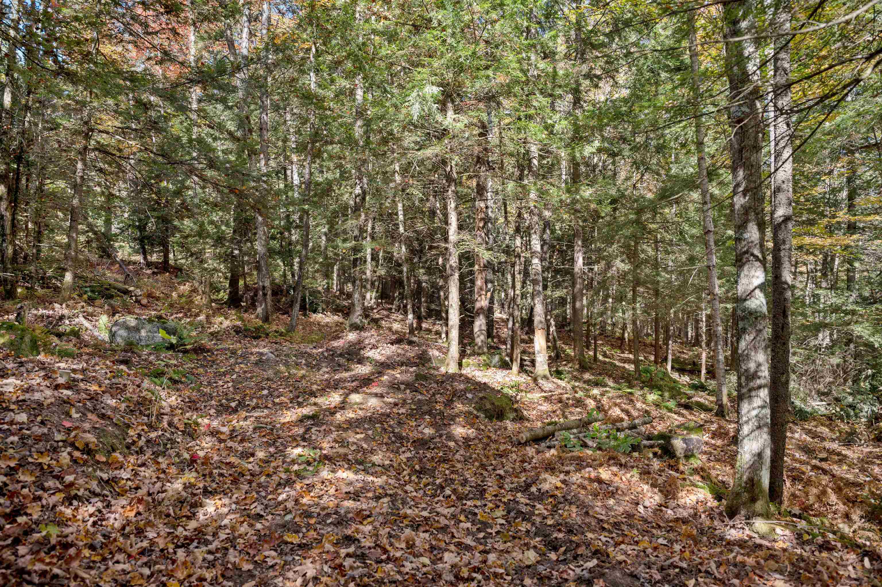 442 Vt Rte 12, Unit 3 Barre, VT 05641 - Photo 6 of 18