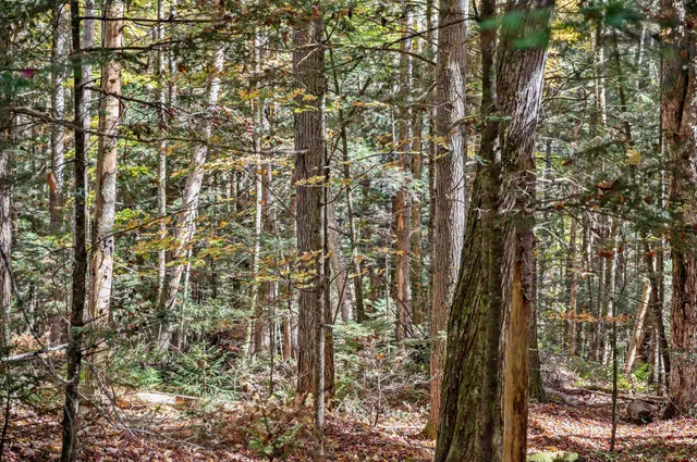 $149,500 | 442 Vt Rte 12, Unit 3, Barre, VT 05641