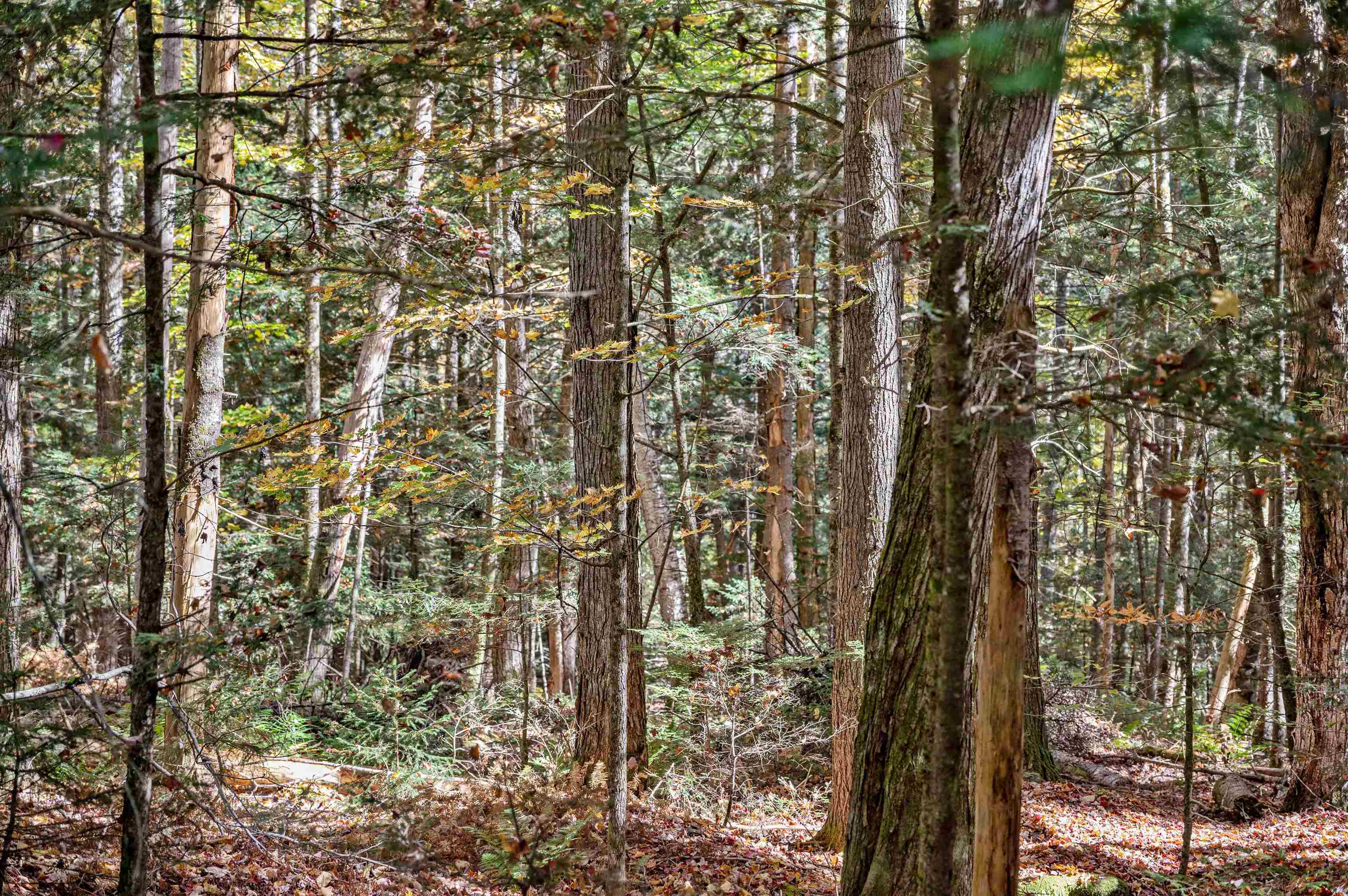 442 Vt Rte 12, Unit 3 Barre, VT 05641 - Photo 7 of 18