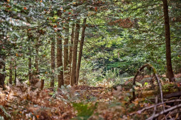 $149,500 | 442 Vt Rte 12, Unit 3, Barre, VT 05641