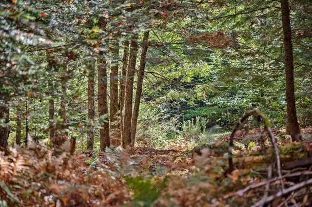 $149,500 | 442 Vt Rte 12, Unit 3, Barre, VT 05641