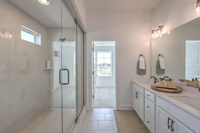 a bathroom with a double vanity sink mirror and shower