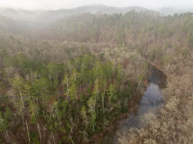 a view of a dry yard