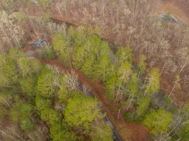 a bathroom with a small yard