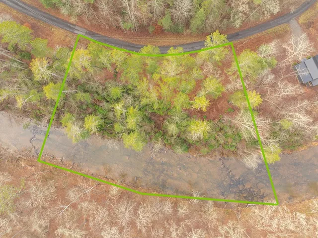 a view of backyard with tree