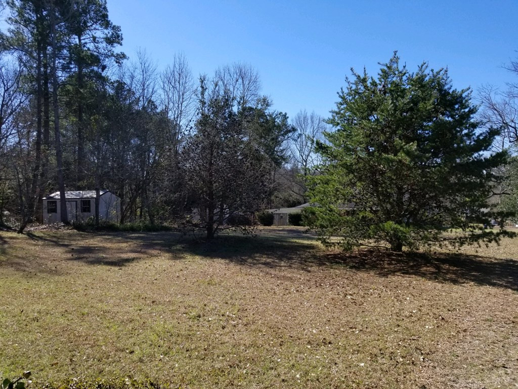 5806 Fish Road Dalzell, SC 29040 - Photo 4 of 15