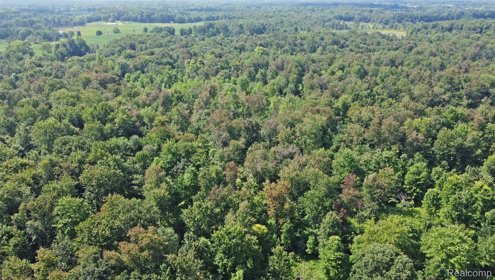 4223 Merwin Road Lapeer, MI 48446 - Photo 82 of 83 81) Aerial Wooded Property.jpg