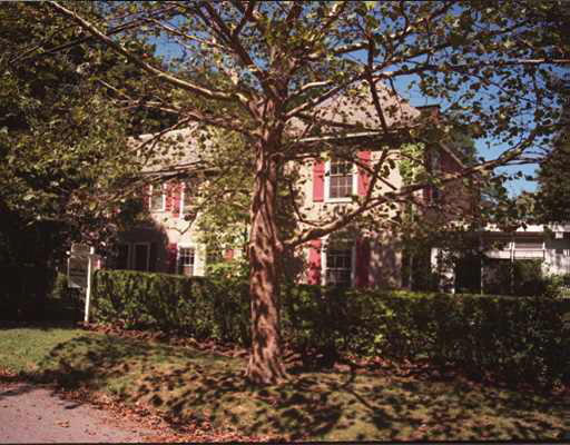 29 Lee Road Newton, MA 02467 - Photo 1 of 1 a picture of trees