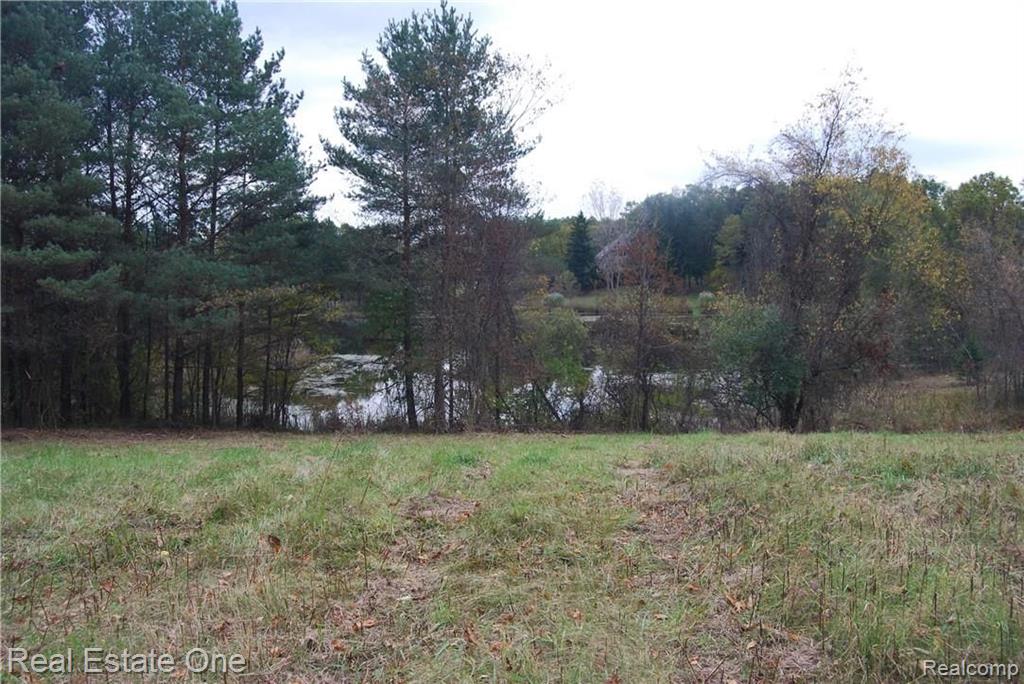 V/l Perry Lake Road Ortonville, MI 48462 - Photo 12 of 30 Gallery Image 12