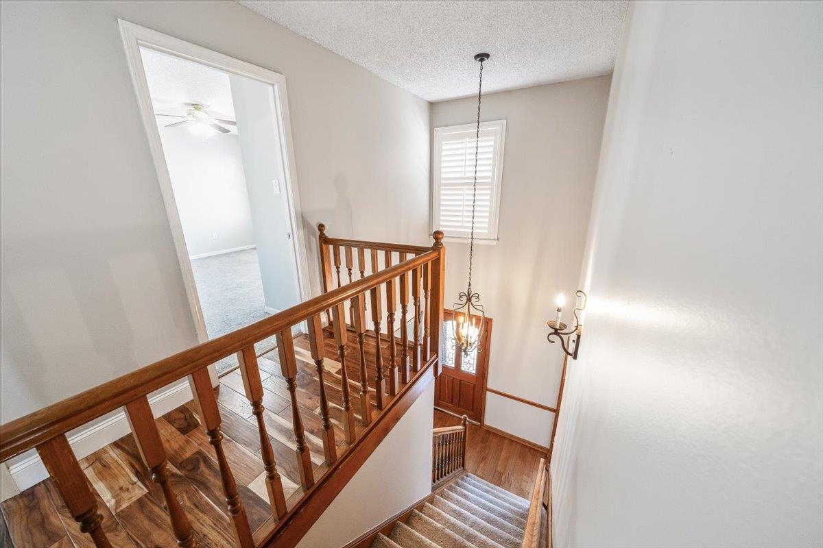 3204 Falling Star Cove Bartlett, TN 38134 - Photo 17 of 36 a view of a hallway with wooden floor and staircase