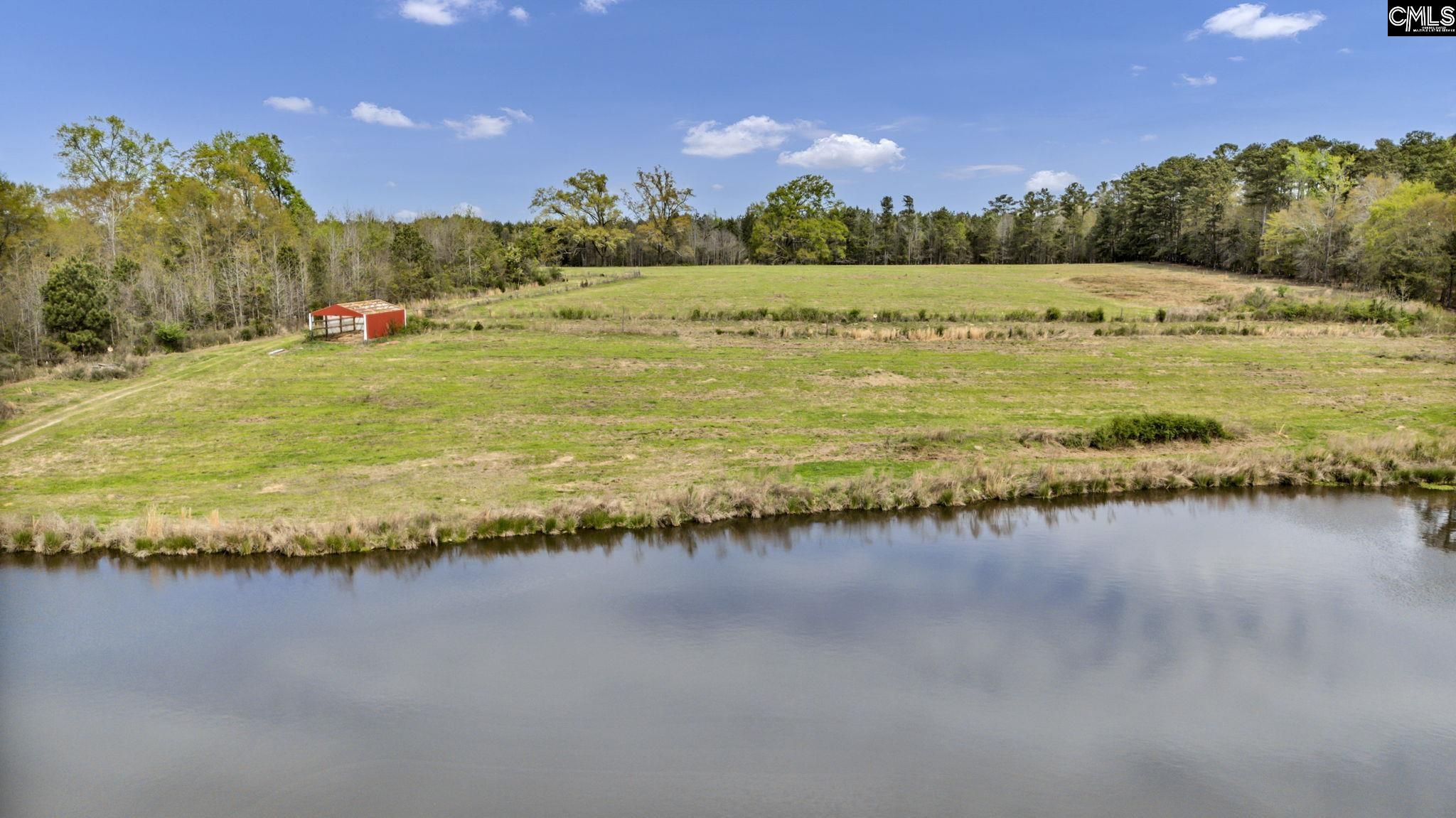 421-0 Shore Road Gilbert, SC 29054 - Photo 9 of 57