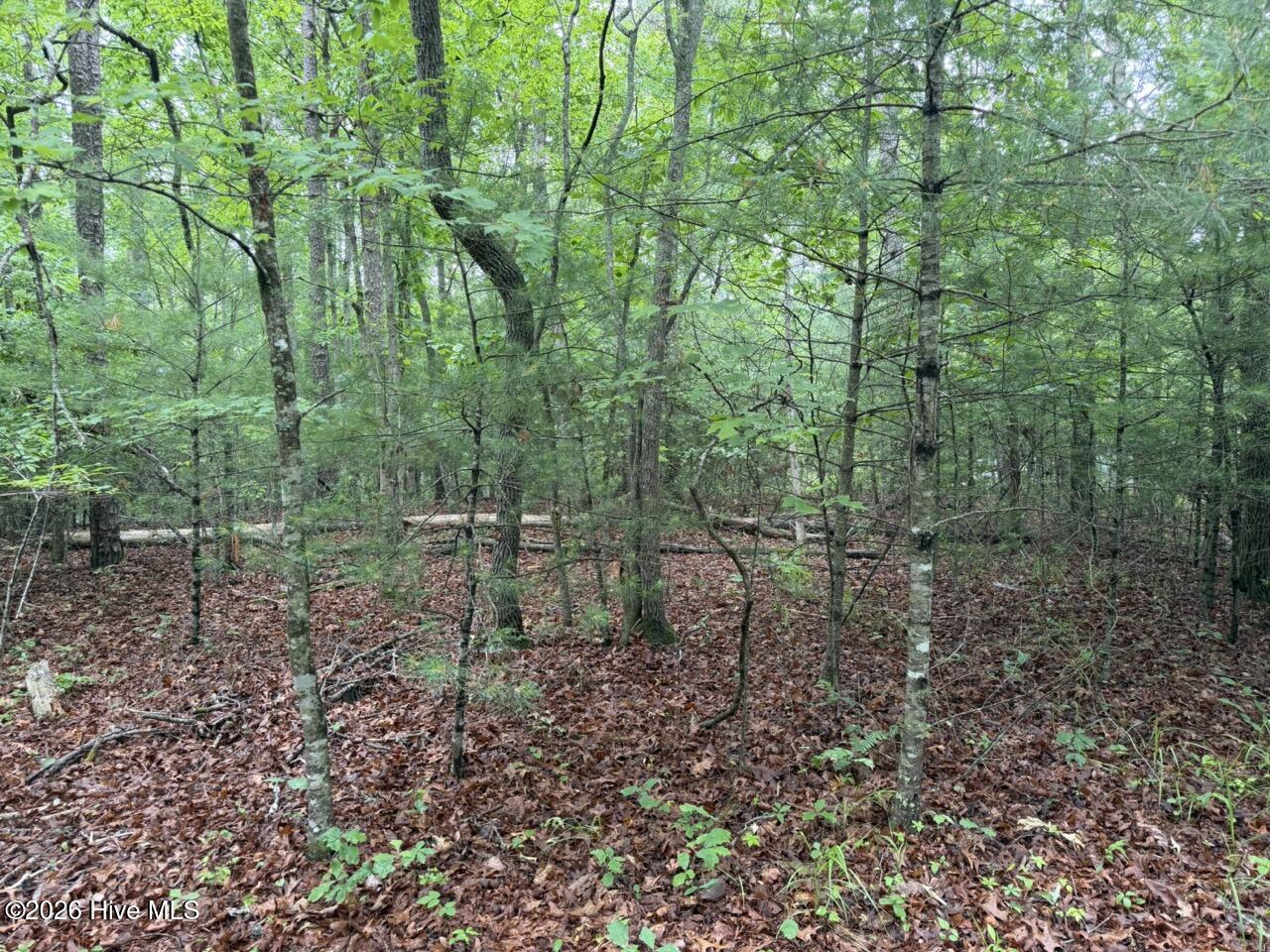 274 Snow Hill Ridge Road Murphy, NC 28906 - Photo 28 of 30
