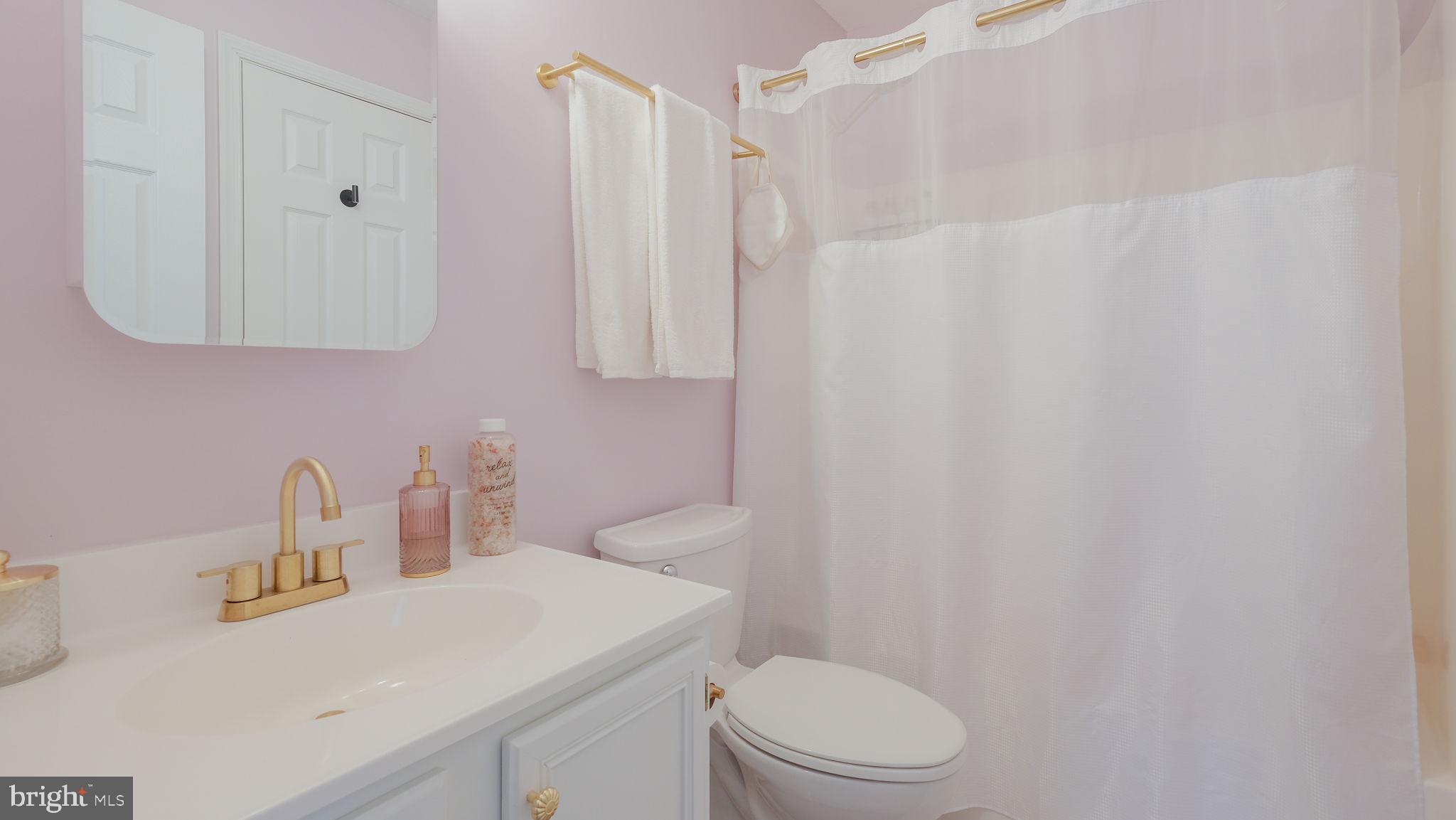 125 Catherine Street, Unit 5 Telford, PA 18969 - Photo 23 of 29 a bathroom with a sink a toilet and vanity