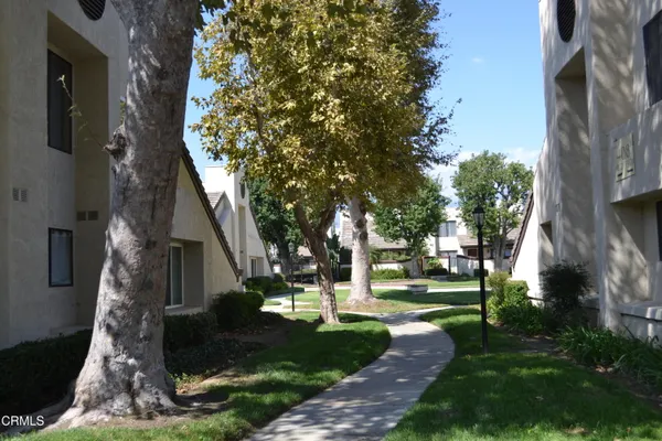 a view of a park with large trees