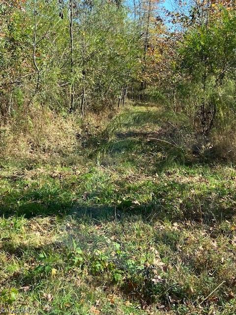 0 Bob Loflin Road Denton, NC 27239 - Photo 3 of 4 Gallery Image 3