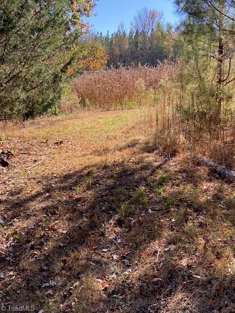 0 Bob Loflin Road Denton, NC 27239 - Photo 4 of 4 Gallery Image 4
