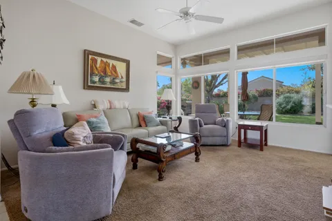a view of a garden with plants and large trees