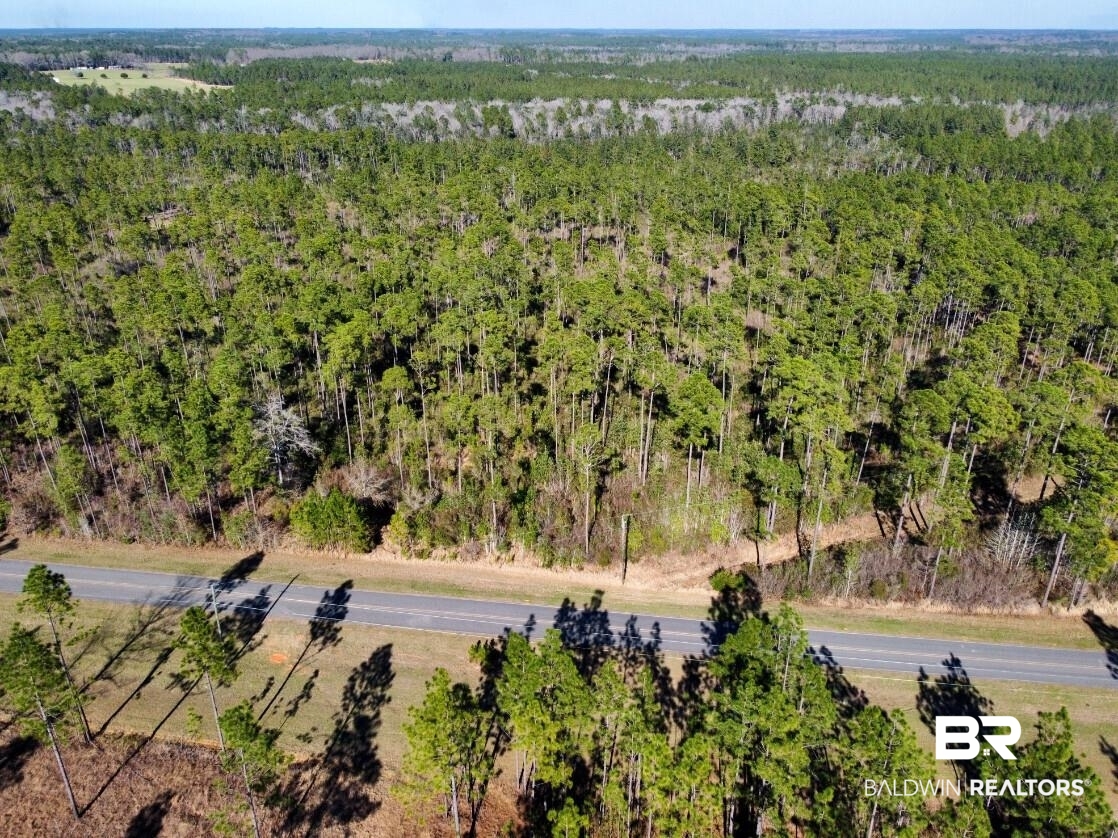 White Road Bay Minette, AL 36507 - Photo 11 of 32 Drone / aerial view featuring a forest view
