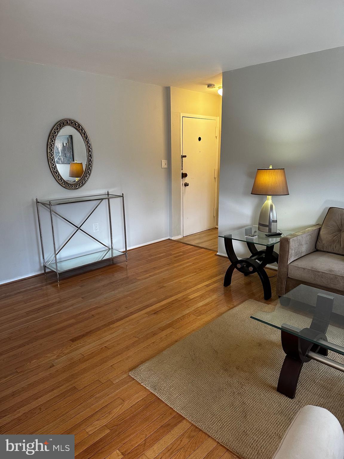 3854 Bel Pre Road, Unit 10 Silver Spring, MD 20906 - Photo 3 of 24 looking back at entry door