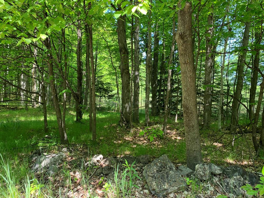 Sugar Bush Road Fish Creek, WI 54212 - Photo 1 of 1 Main View