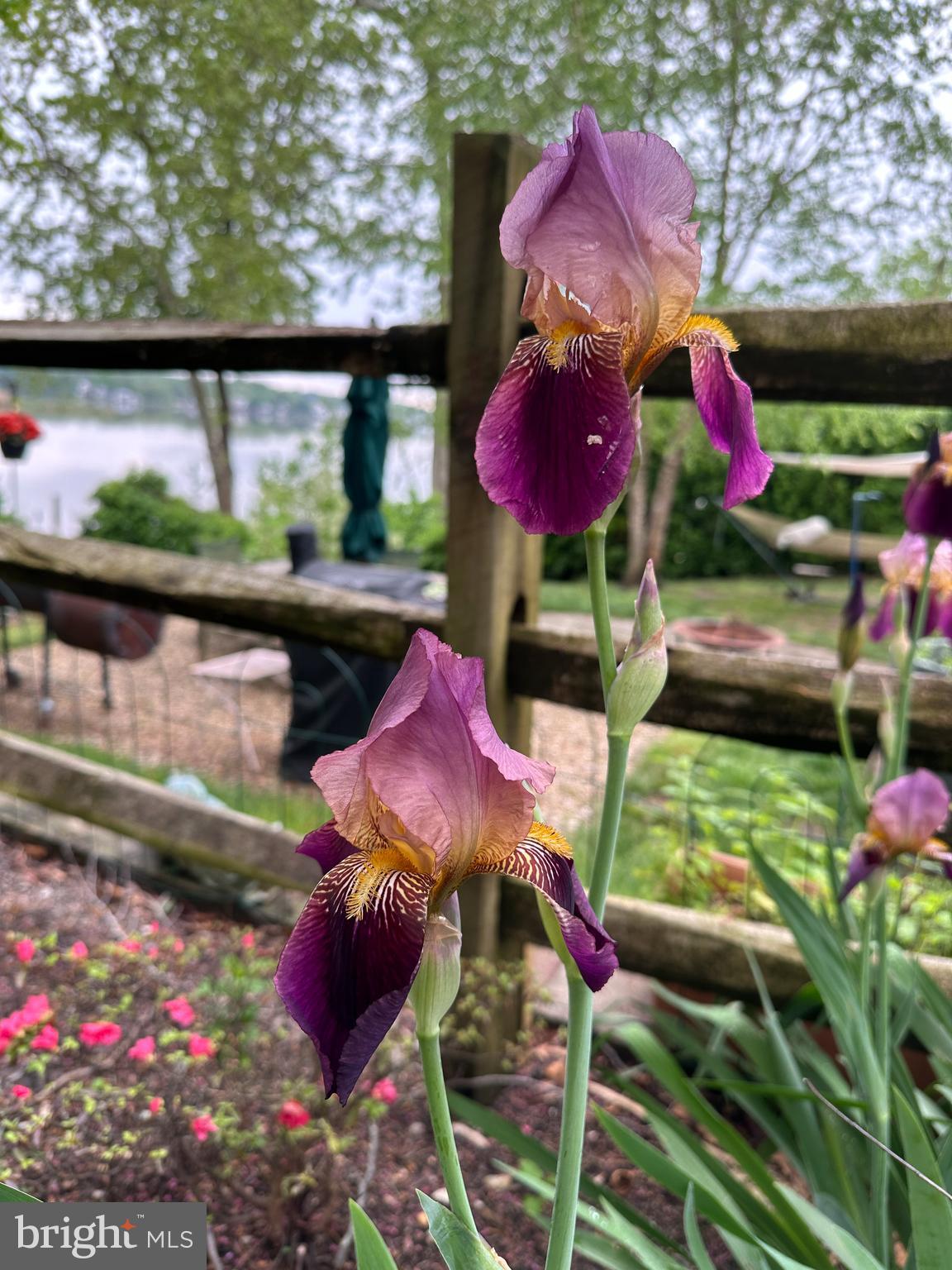 6029 Loreley Beach Road White Marsh, MD 21162 - Photo 44 of 44