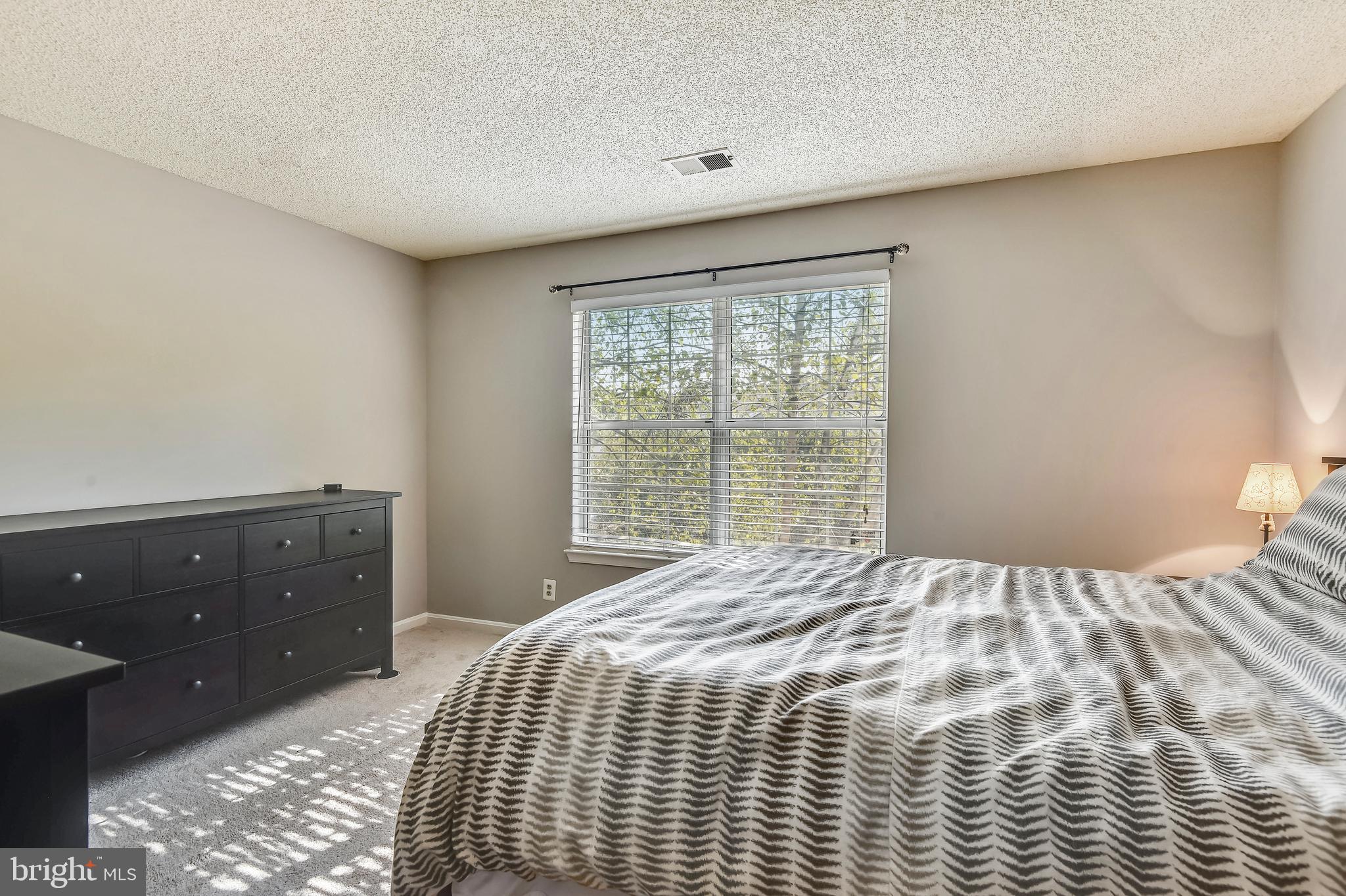 12016 Golf Ridge Court, Unit 301 Fairfax, VA 22033 - Photo 12 of 44 Master Bedroom view 2
