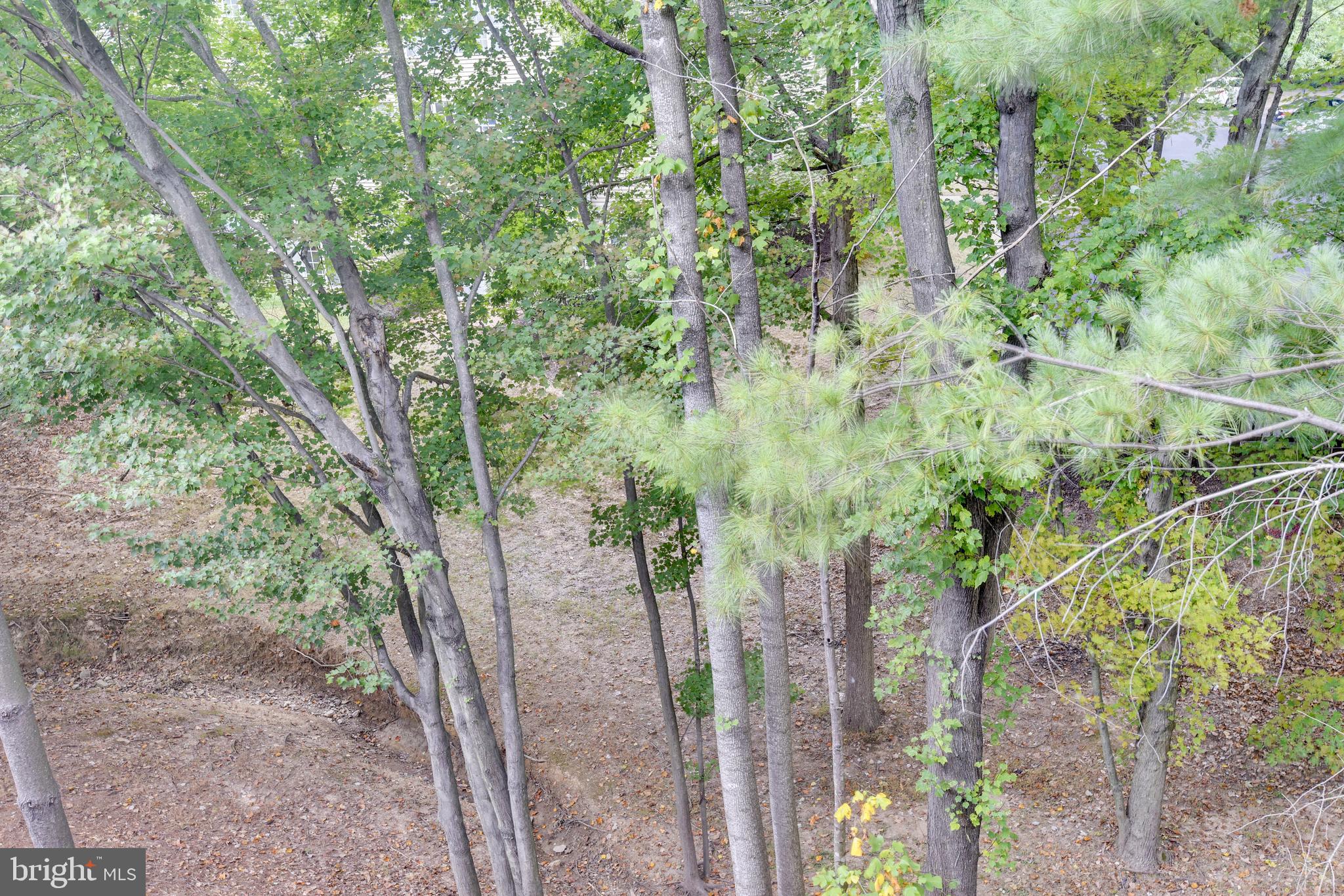 12016 Golf Ridge Court, Unit 301 Fairfax, VA 22033 - Photo 10 of 44 Treed View from Condo