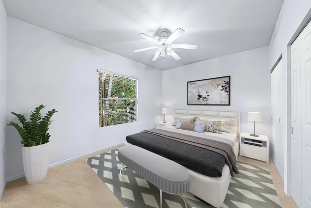 a view of a park with large trees