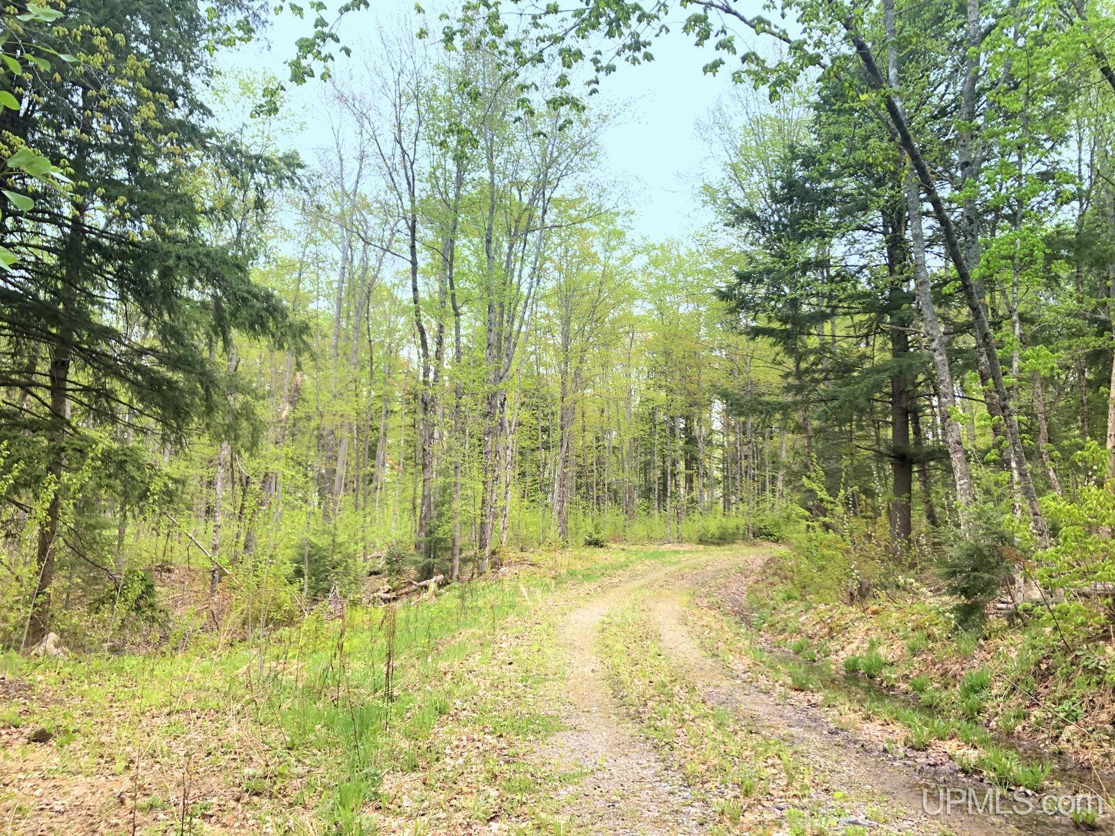 Tbd Tbd Northwestern/camp Road Ishpeming, MI 49849 - Photo 62 of 63