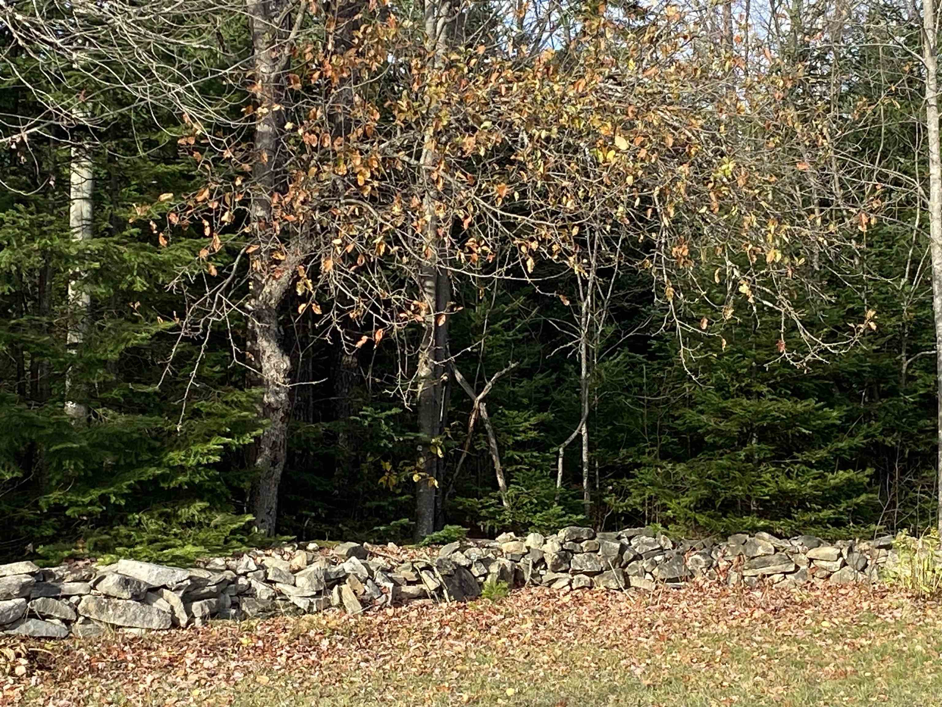 30 West Milan Road Berlin, NH 03570 - Photo 9 of 44