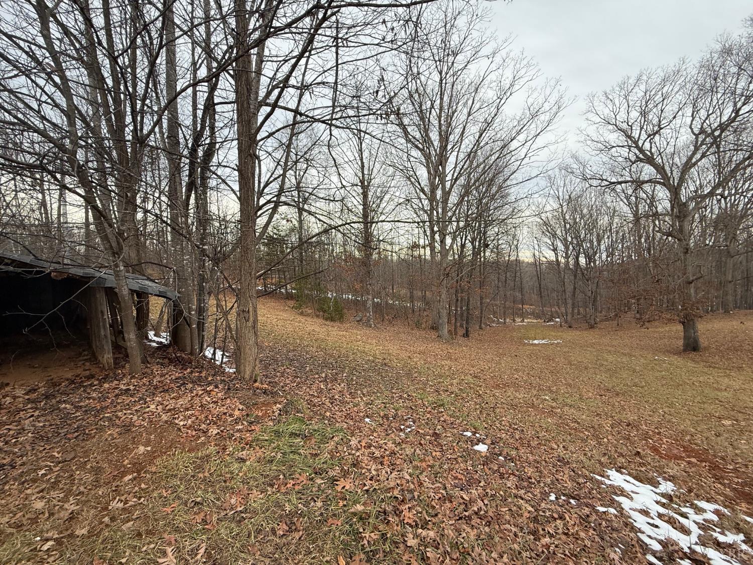 271 Candlemakers Lane Rustburg, VA 24588 - Photo 20 of 31 a backyard of a house with lots of green space