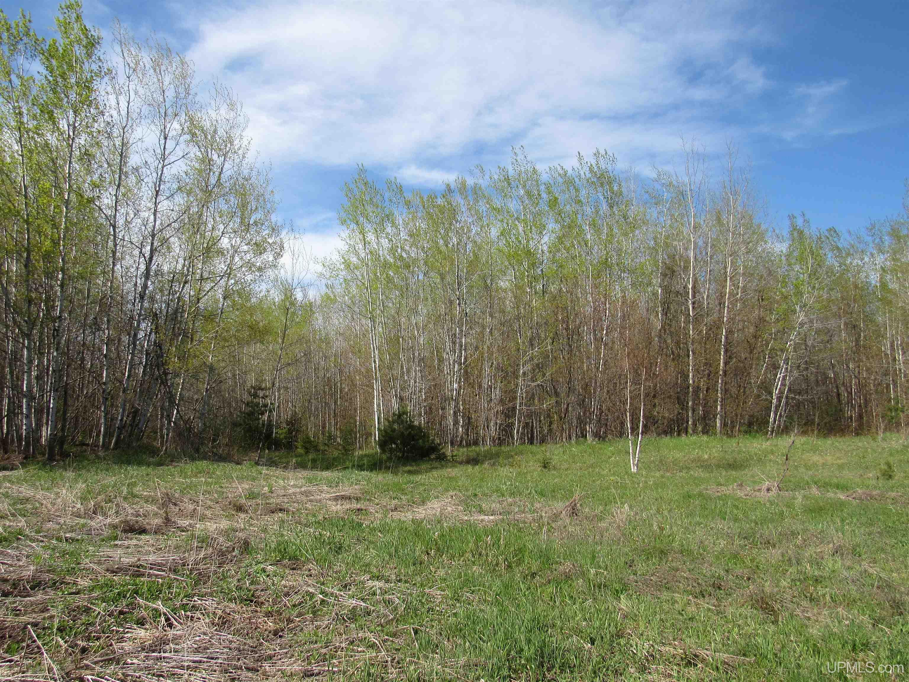 Tbd Off Rice Lake Road, Unit NO DRIVE BYS Lake Linden, MI 49945 - Photo 4 of 40