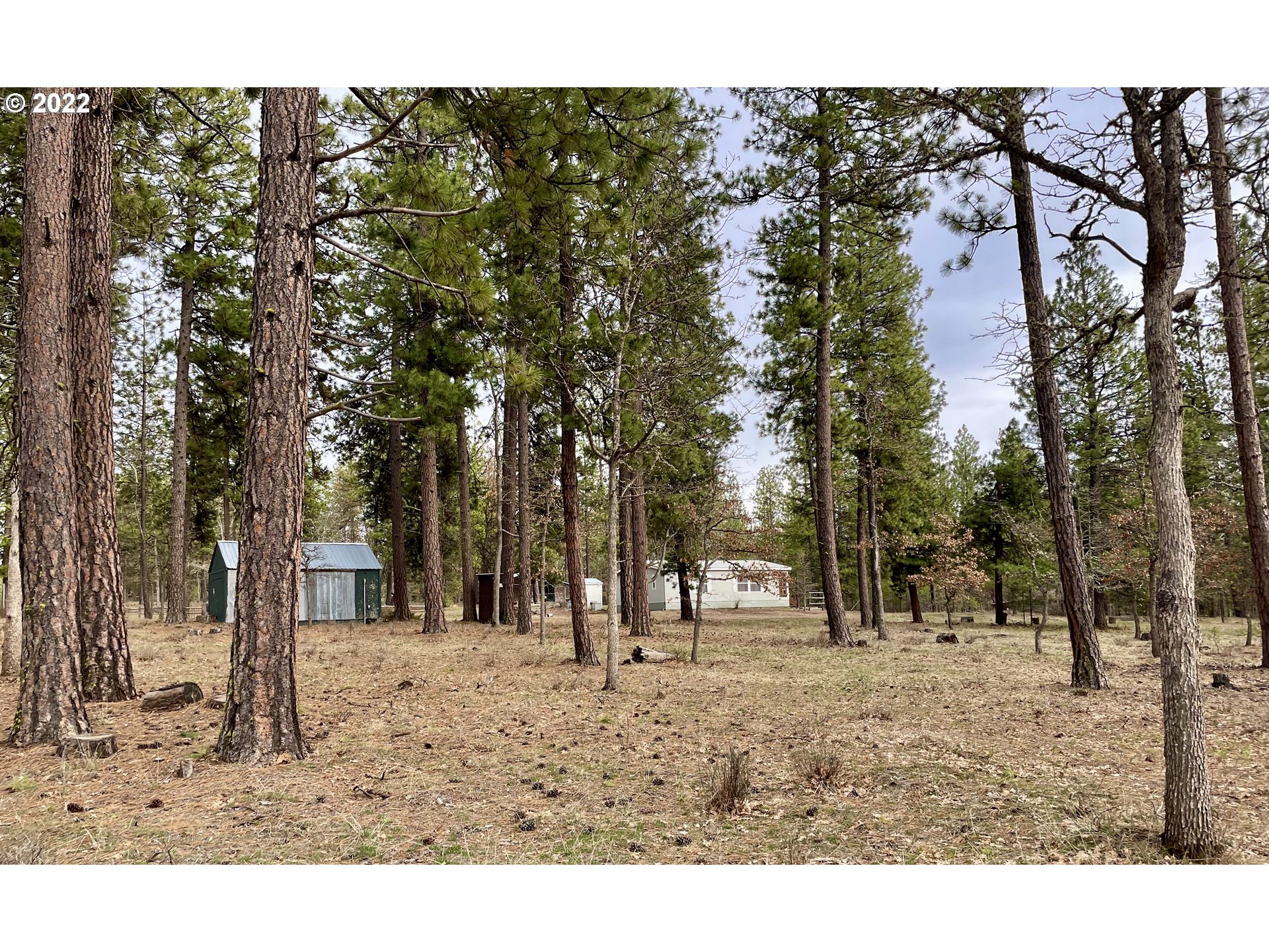 280 Hawks Wind Road Goldendale, WA 98620 - Photo 3 of 31 Gallery Image 3