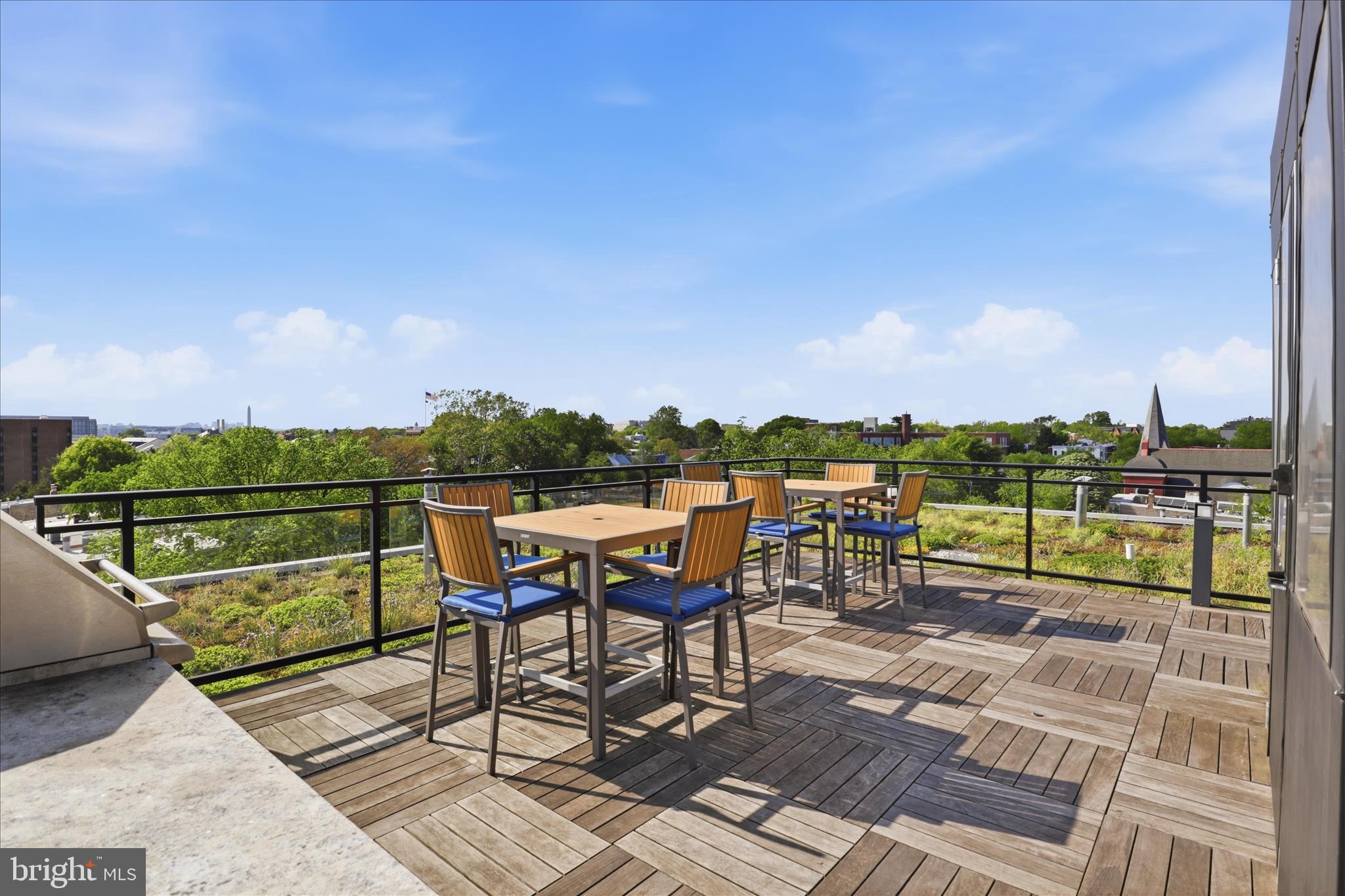 900 11th Street Southeast, Unit 203 Washington, DC 20003 - Photo 26 of 36 Rooftop