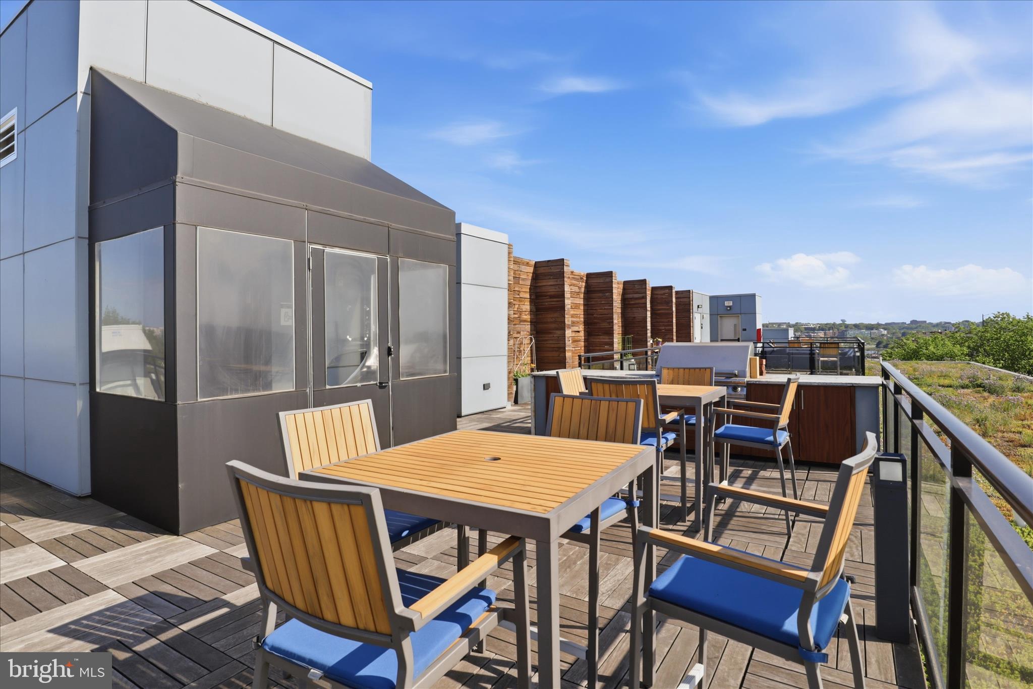 900 11th Street Southeast, Unit 203 Washington, DC 20003 - Photo 27 of 36 Rooftop