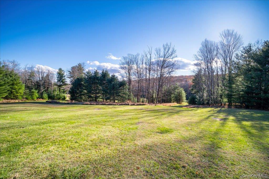 236 Budd Road Wurtsboro, NY 12790 - Photo 21 of 42 a view of a swimming pool and trees in the background