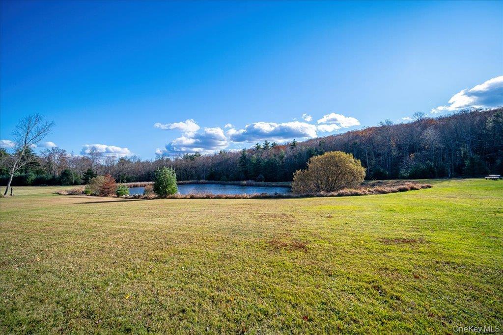 236 Budd Road Wurtsboro, NY 12790 - Photo 23 of 42 a view of a swimming pool and an outdoor seating