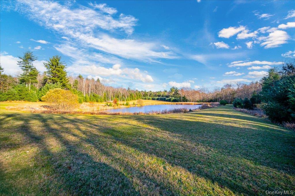 236 Budd Road Wurtsboro, NY 12790 - Photo 24 of 42 a view of yard with swimming pool and green space