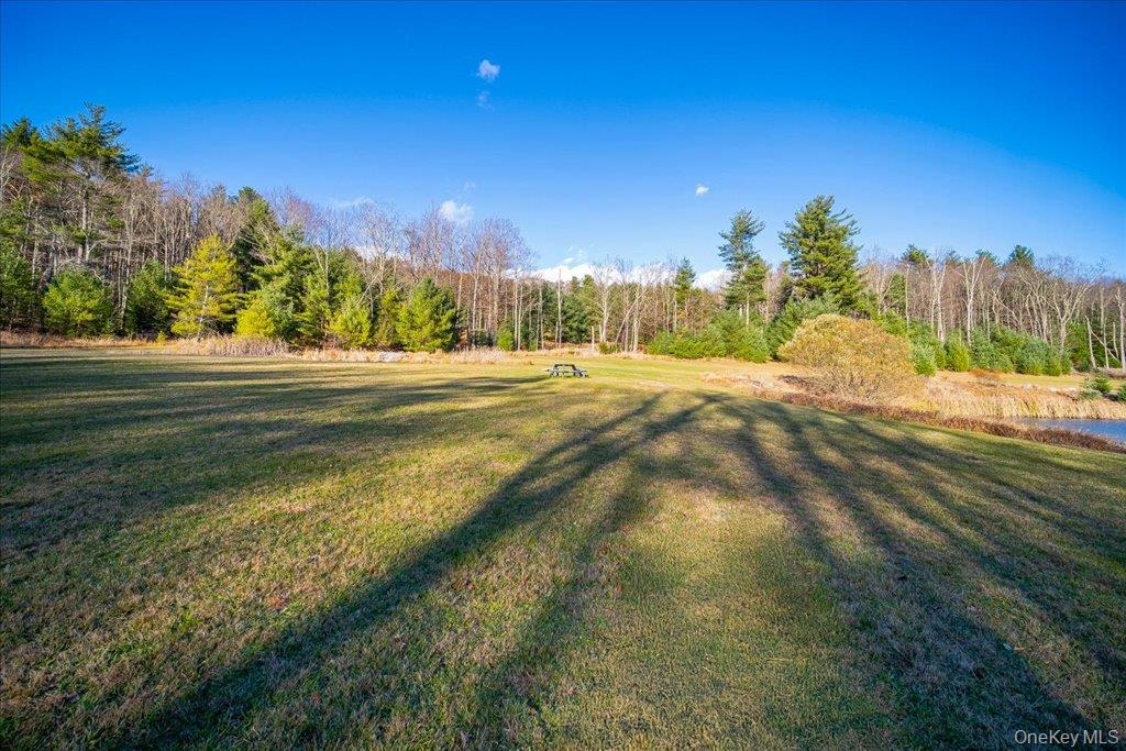 236 Budd Road Wurtsboro, NY 12790 - Photo 25 of 42 a view of a field of grass and trees
