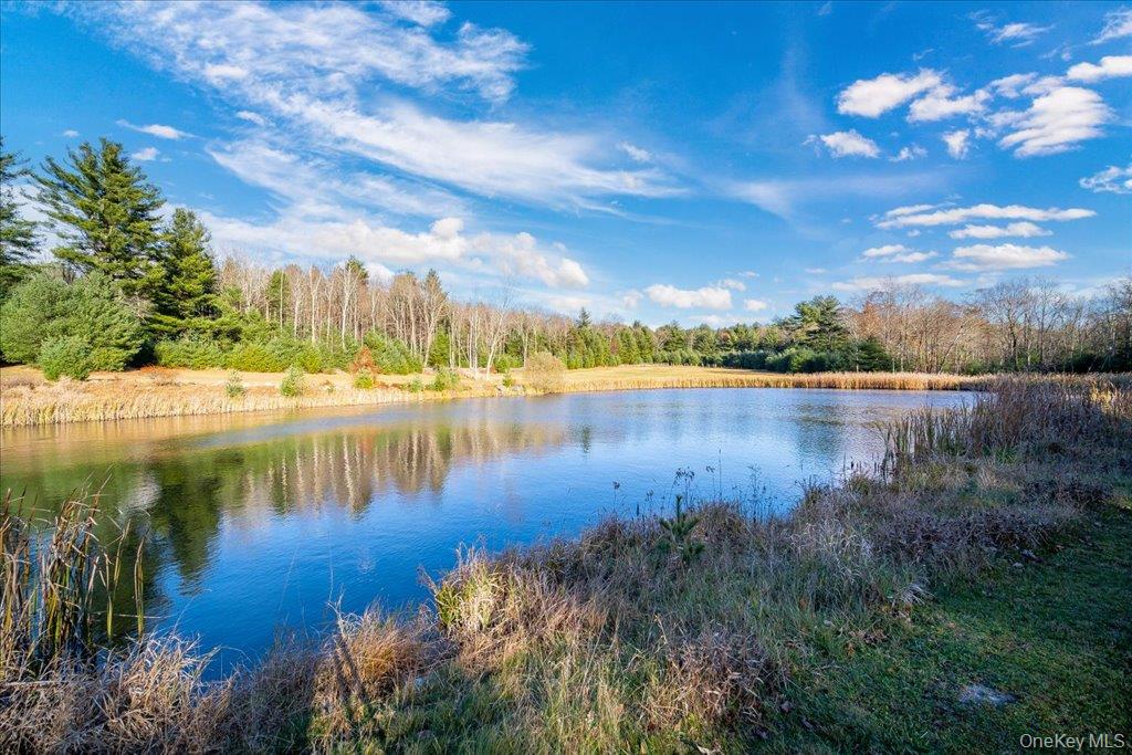 236 Budd Road Wurtsboro, NY 12790 - Photo 26 of 42 a view of a lake with houses in the back