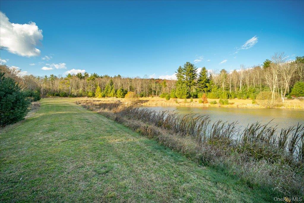 236 Budd Road Wurtsboro, NY 12790 - Photo 27 of 42 a view of a yard with an outdoor space