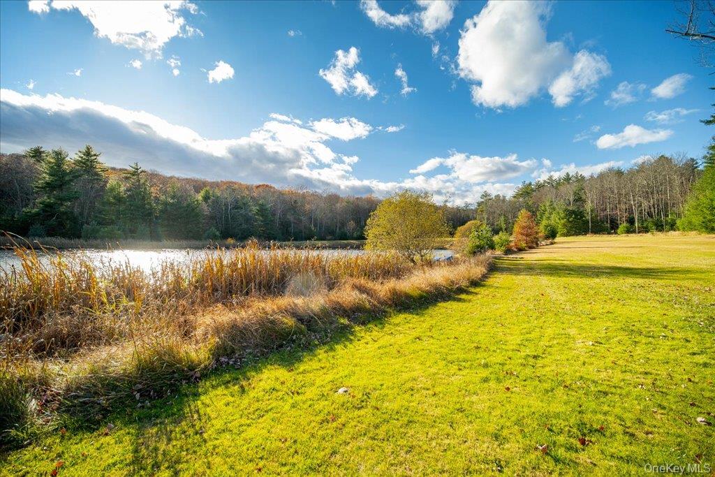 236 Budd Road Wurtsboro, NY 12790 - Photo 29 of 42 a view of lake view and mountain