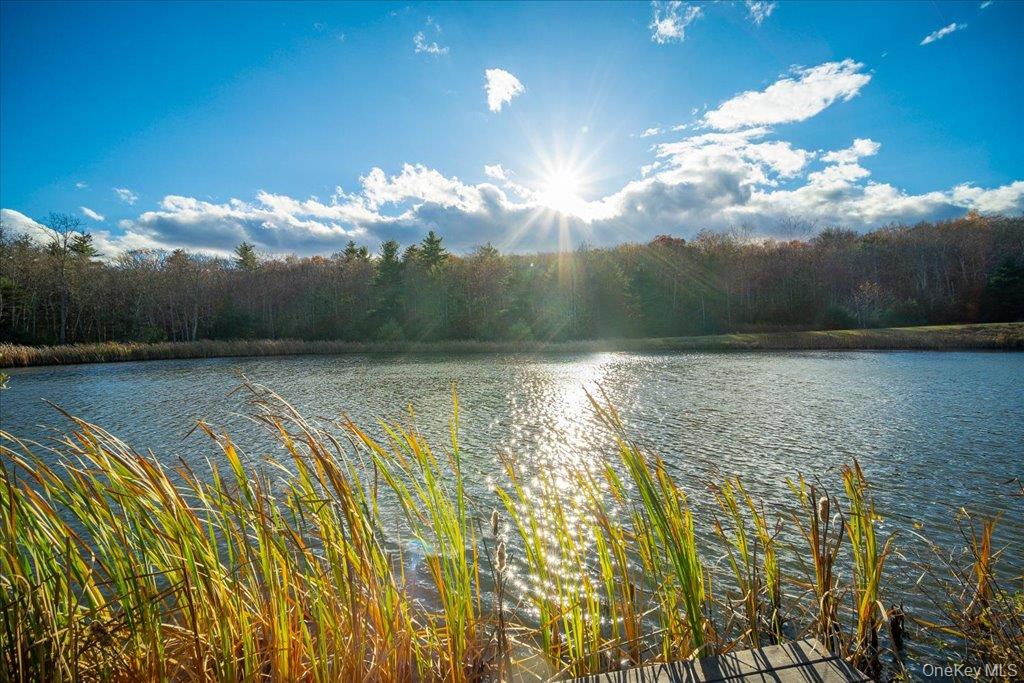 236 Budd Road Wurtsboro, NY 12790 - Photo 30 of 42