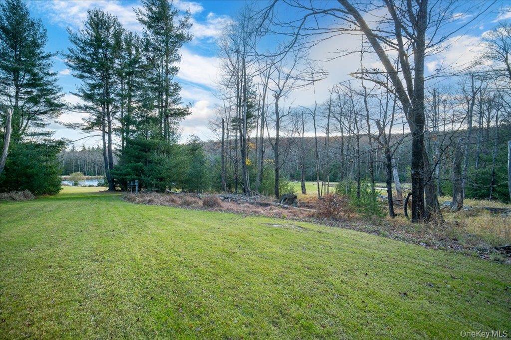 236 Budd Road Wurtsboro, NY 12790 - Photo 32 of 42 a view of backyard with tree